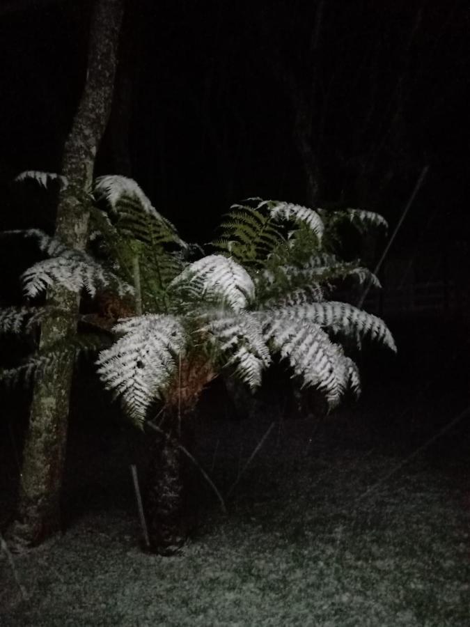 Quartos Recanto Da Natureza Interior Canela Zewnętrze zdjęcie