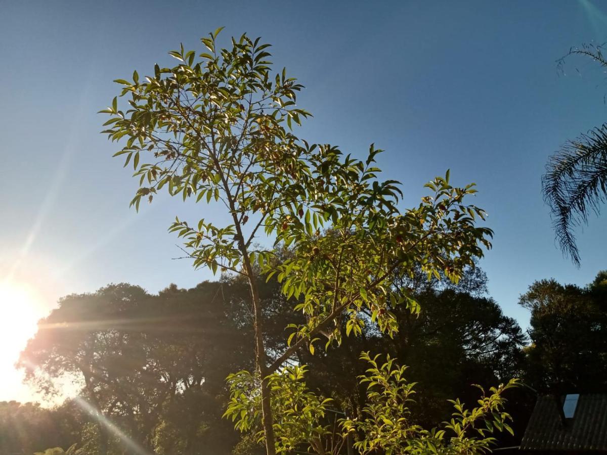 Quartos Recanto Da Natureza Interior Canela Zewnętrze zdjęcie
