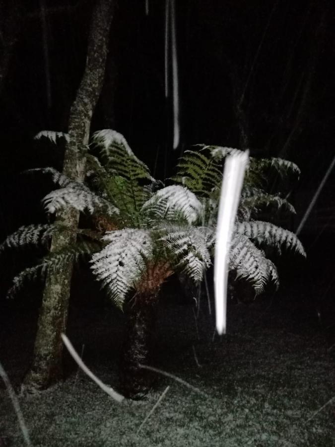 Quartos Recanto Da Natureza Interior Canela Zewnętrze zdjęcie